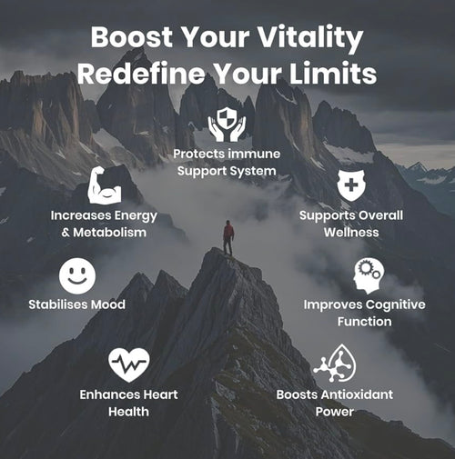 Himalayan Fulvic Shilajit Vitality Complex