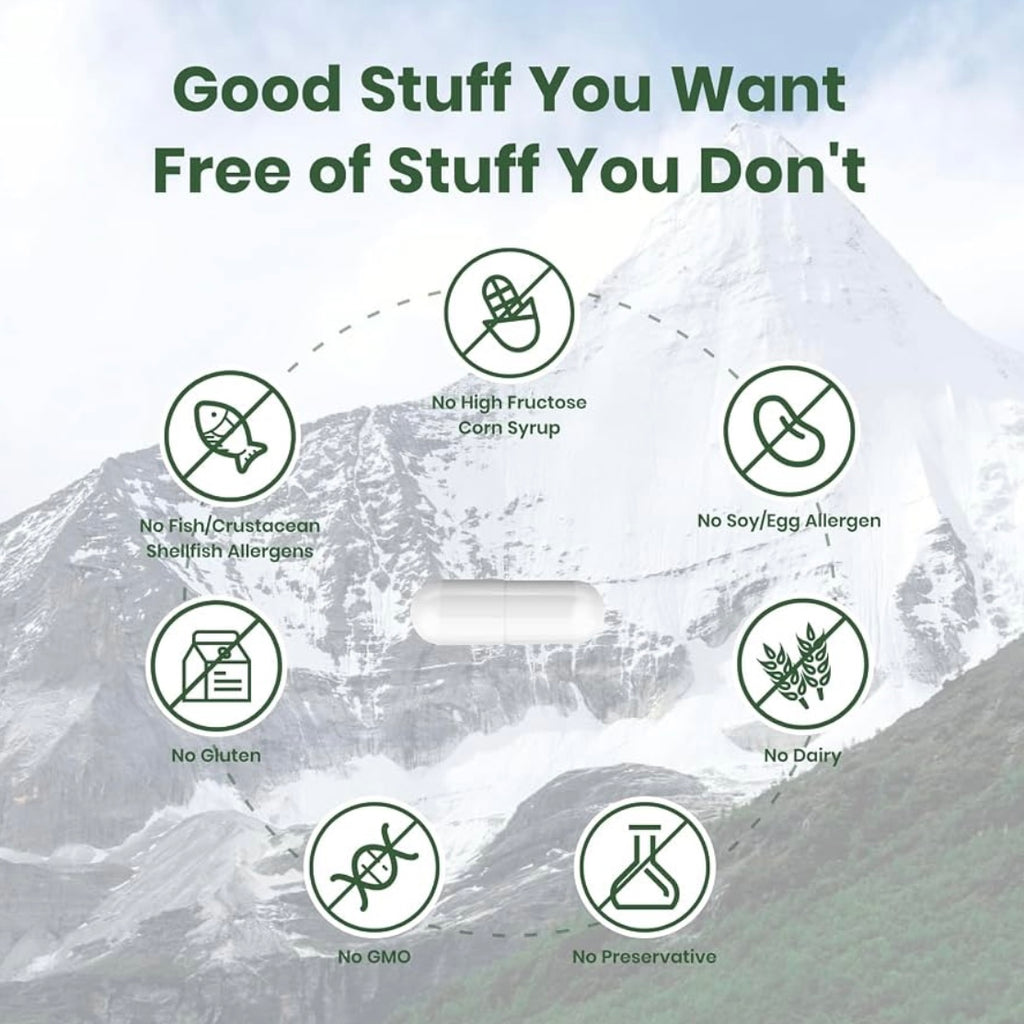 Himalayan Fulvic Shilajit Vitality Complex