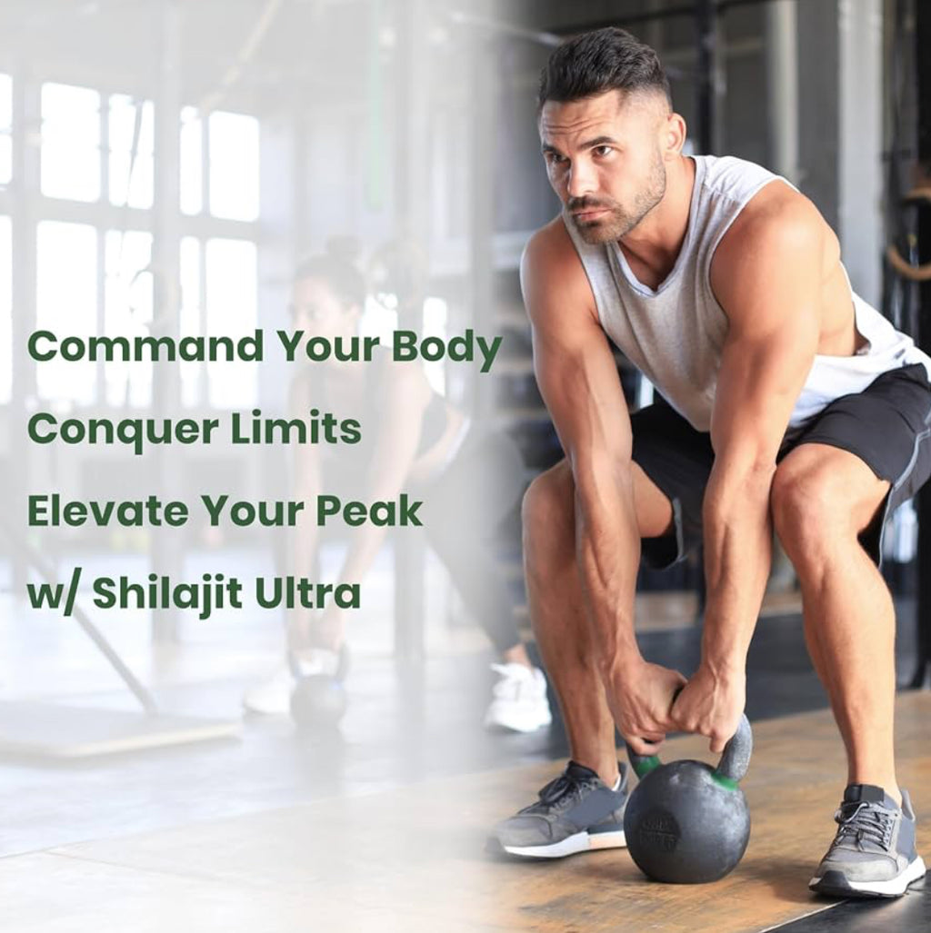 Himalayan Fulvic Shilajit Vitality Complex