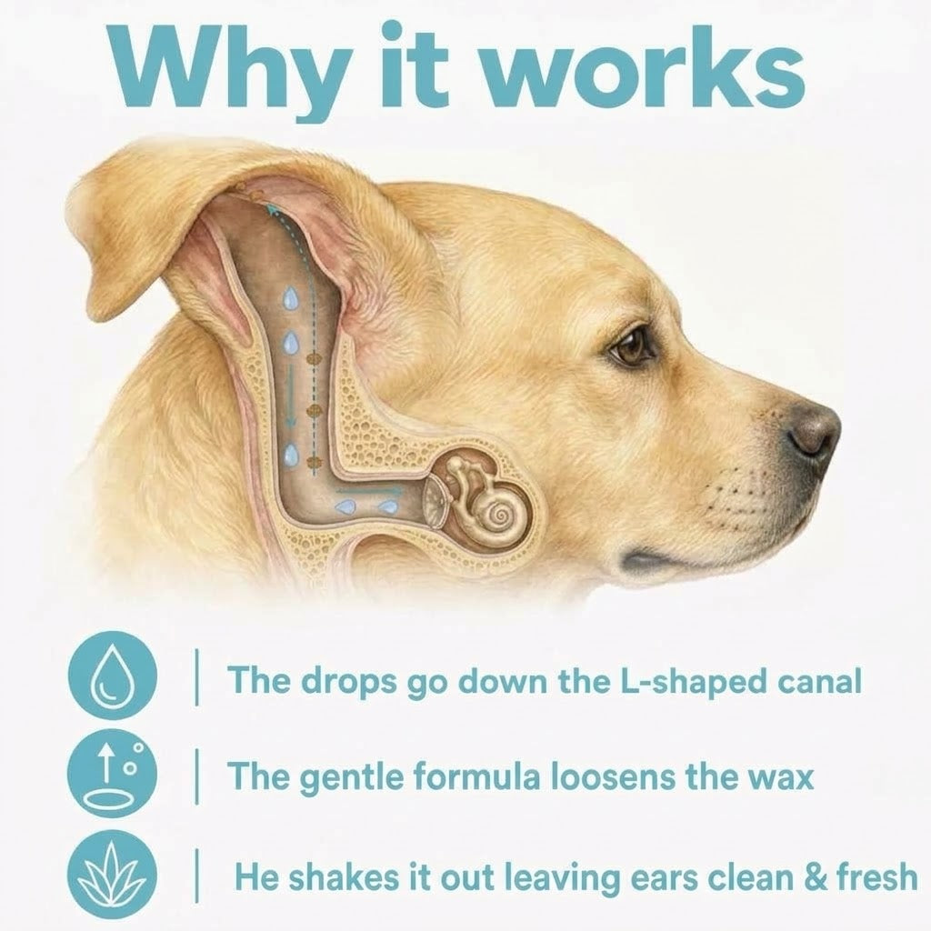 Ear Cleaner for Dogs & Cats